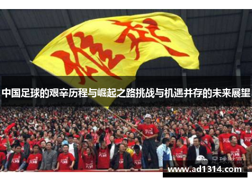 中国足球的艰辛历程与崛起之路挑战与机遇并存的未来展望