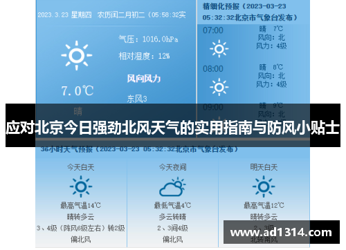 应对北京今日强劲北风天气的实用指南与防风小贴士